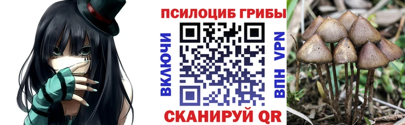 Галлюциногенные грибы Magic Shrooms  Купить где  Верхний Тагил 